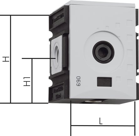 Exemplary representation: Manifolds & manifolds with pressure switch - Futura